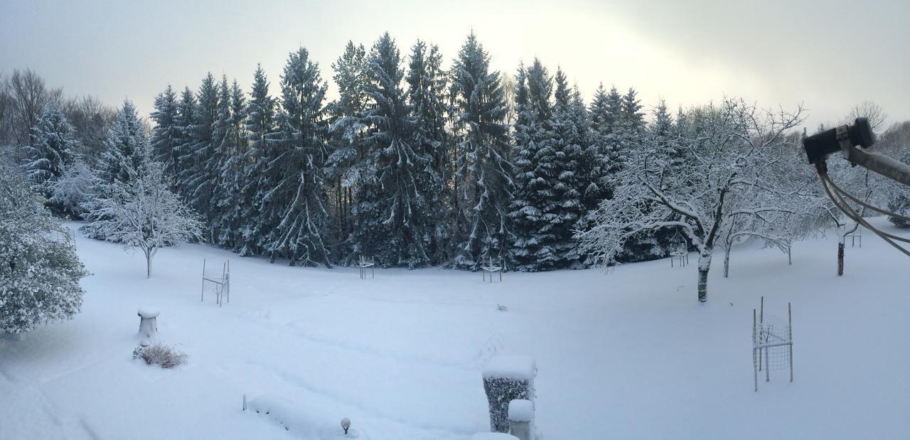 Gite Et Chambre D'Hotes La Petite Source Dabo Экстерьер фото